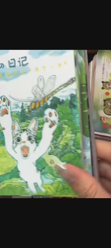 Haibei's Diary Sticker Book